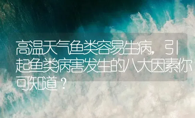 高温天气鱼类容易生病，引起鱼类病害发生的八大因素你可知道？ | 养殖病虫害防治