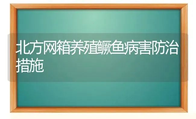 北方网箱养殖鳜鱼病害防治措施 | 淡水养殖