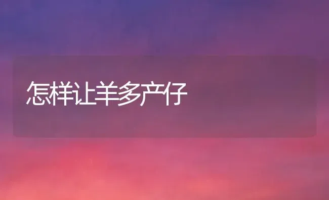 怎样让羊多产仔 | 家畜养殖