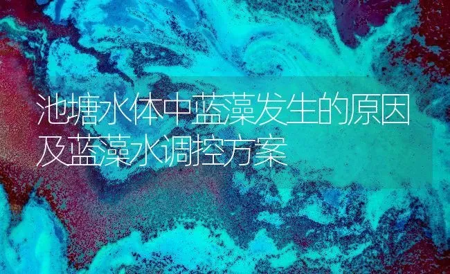 池塘水体中蓝藻发生的原因及蓝藻水调控方案 | 动物养殖百科