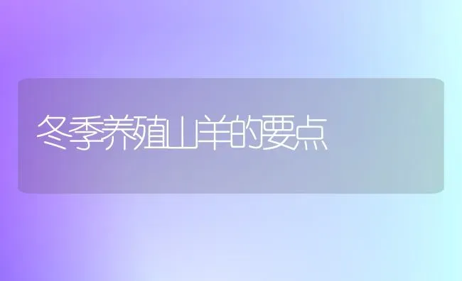 冬季养殖山羊的要点 | 家畜养殖