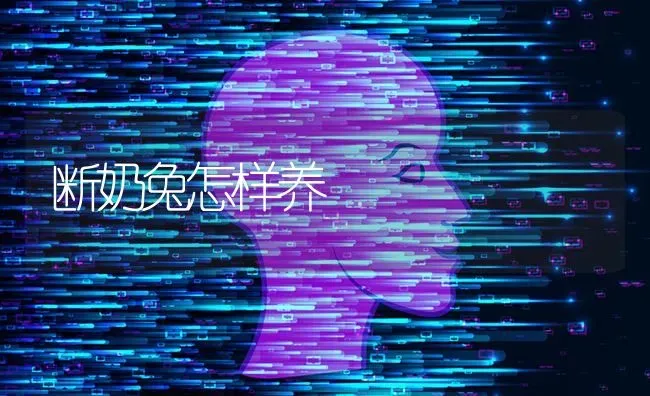 断奶兔怎样养 | 家畜养殖