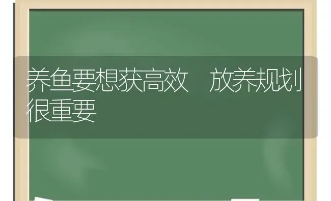 养鱼要想获高效 放养规划很重要 | 淡水养殖