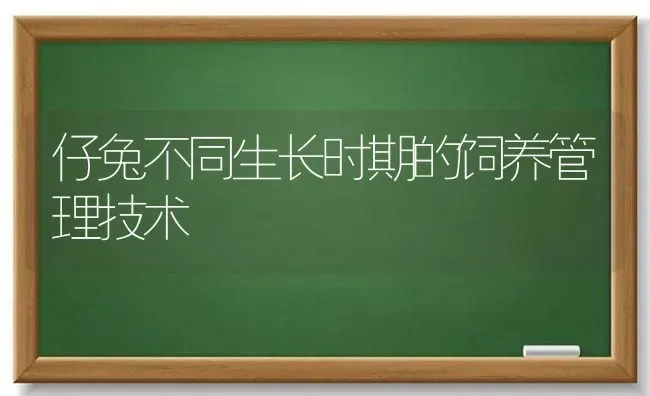 仔兔不同生长时期的饲养管理技术 | 家畜养殖