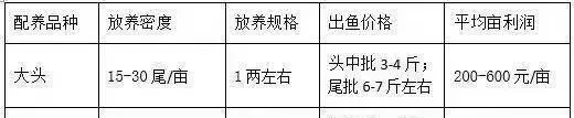 生物改底，好在坚持—海鲈鱼池塘改底案例分享