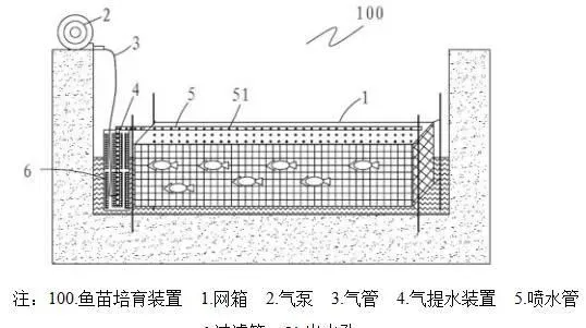 采用这种黑科技培育夏花，亩产量增16倍，成活率提高40%