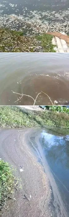 越冬池塘的常见问题和处理思路分析