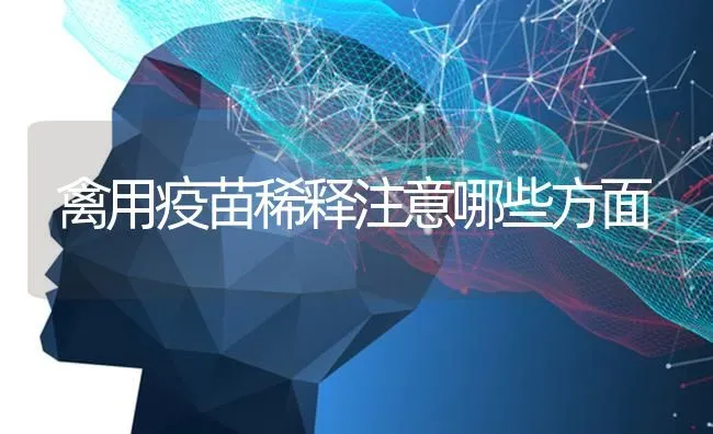 禽用疫苗稀释注意哪些方面 | 家禽养殖