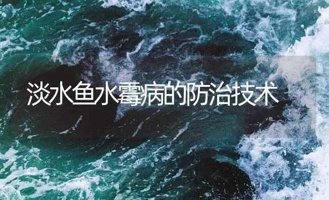 淡水鱼水霉病的防治技术 | 养殖病虫害防治