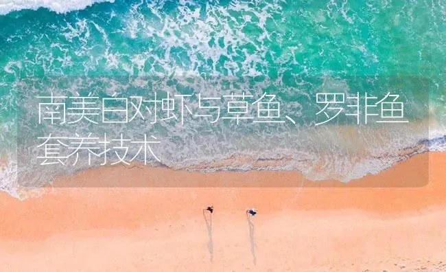 南美白对虾与草鱼、罗非鱼套养技术 | 海水养殖