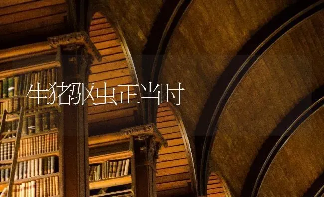 生猪驱虫正当时 | 家畜养殖
