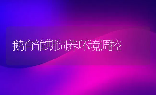 鹅育雏期饲养环境调控 | 家禽养殖