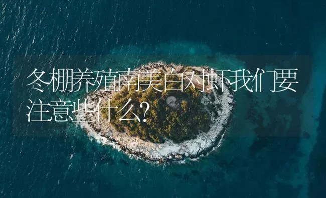 冬棚养殖南美白对虾我们要注意些什么？ | 海水养殖