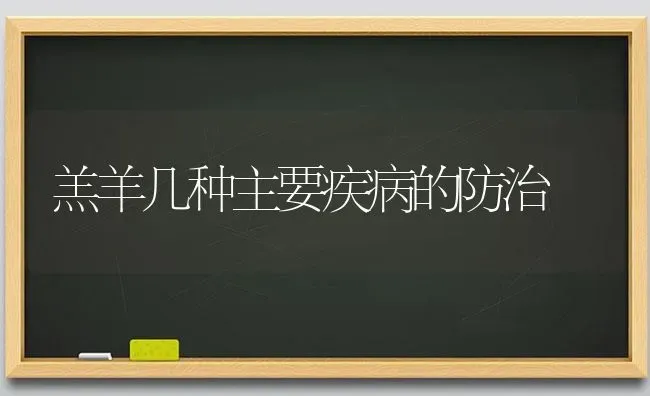 羔羊几种主要疾病的防治 | 家畜养殖