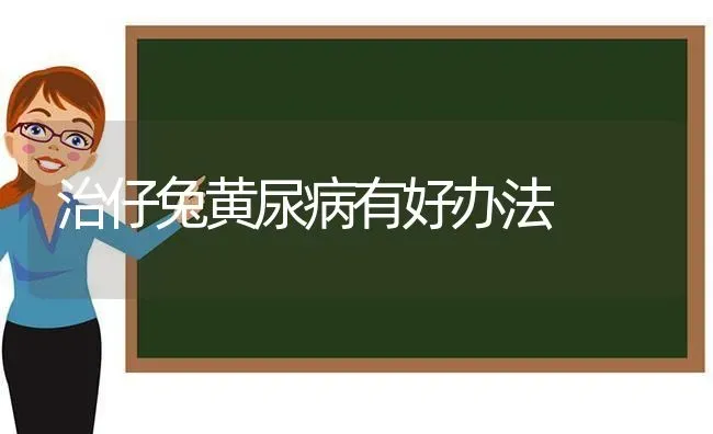 治仔兔黄尿病有好办法 | 家畜养殖