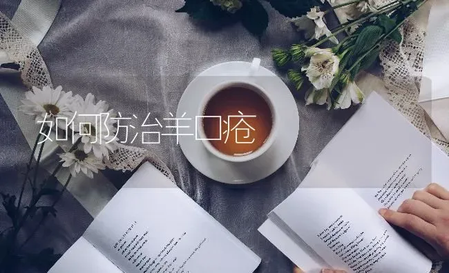 如何防治羊口疮 | 家畜养殖