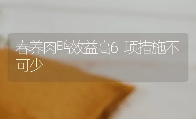 春养肉鸭效益高6项措施不可少 | 家禽养殖