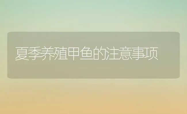 夏季养殖甲鱼的注意事项 | 淡水养殖