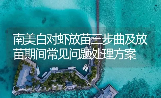 南美白对虾放苗三步曲及放苗期间常见问题处理方案 | 海水养殖