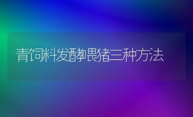 青饲料发酵喂猪三种方法 | 家畜养殖