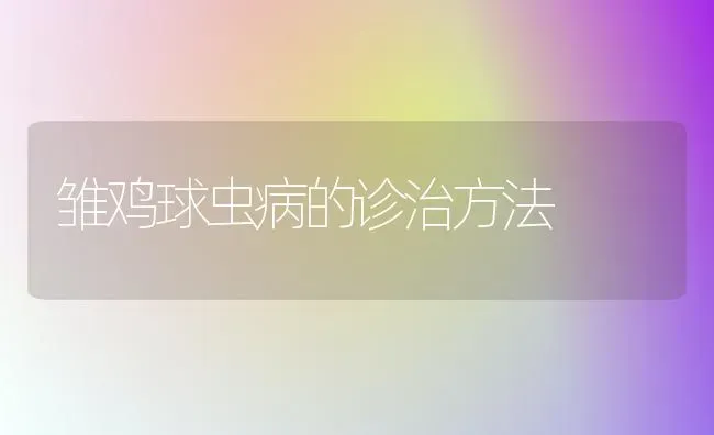 雏鸡球虫病的诊治方法 | 家禽养殖