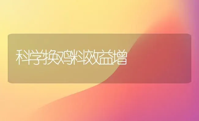 科学换鸡料效益增 | 家禽养殖