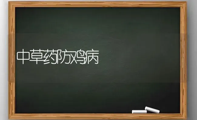 中草药防鸡病 | 养殖病虫害防治