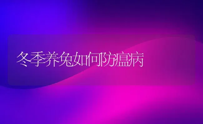 冬季养兔如何防瘟病 | 家畜养殖