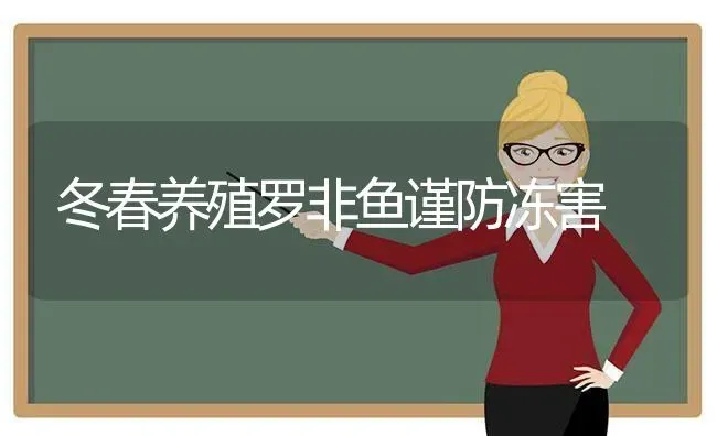 冬春养殖罗非鱼谨防冻害 | 淡水养殖