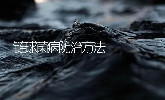链球菌病防治方法 | 养殖病虫害防治