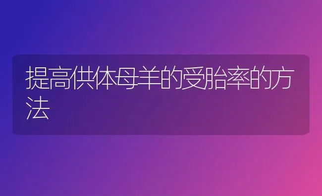 提高供体母羊的受胎率的方法 | 家畜养殖