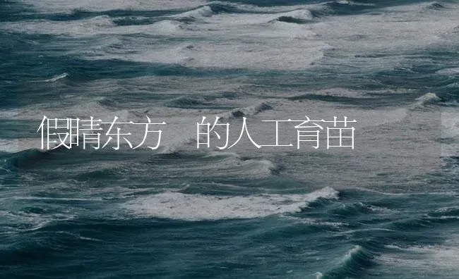 假睛东方魨的人工育苗 | 淡水养殖