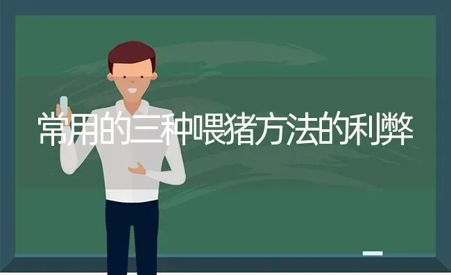 常用的三种喂猪方法的利弊 | 家畜养殖