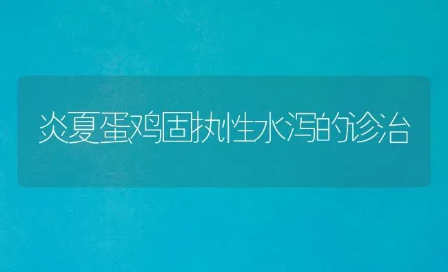 炎夏蛋鸡固执性水泻的诊治 | 家禽养殖