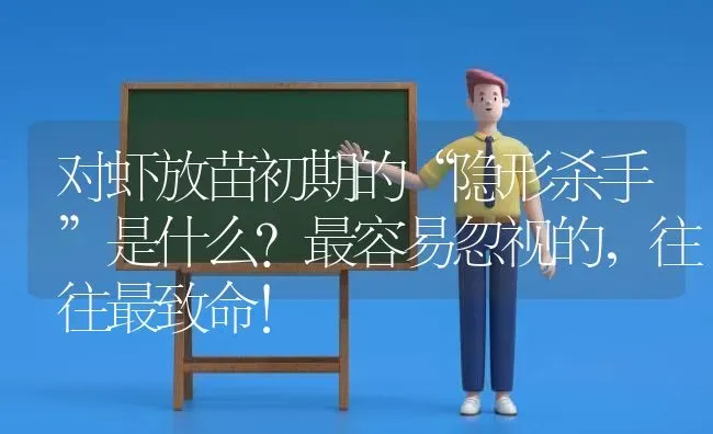 对虾放苗初期的“隐形杀手”是什么？最容易忽视的，往往最致命！ | 动物养殖百科
