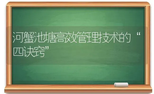 河蟹池塘高效管理技术的“四诀窍” | 淡水养殖