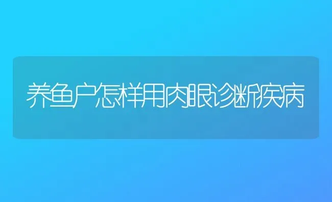 养鱼户怎样用肉眼诊断疾病 | 淡水养殖