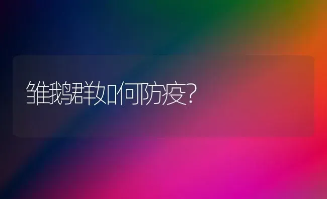 雏鹅群如何防疫？ | 家禽养殖