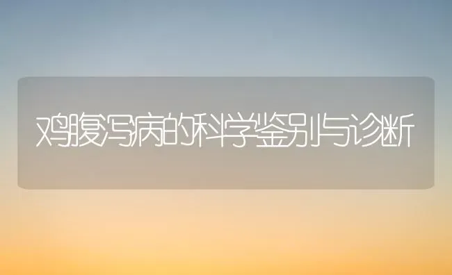 鸡腹泻病的科学鉴别与诊断 | 家禽养殖