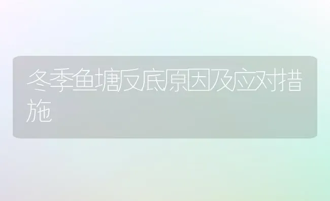 冬季鱼塘反底原因及应对措施 | 淡水养殖