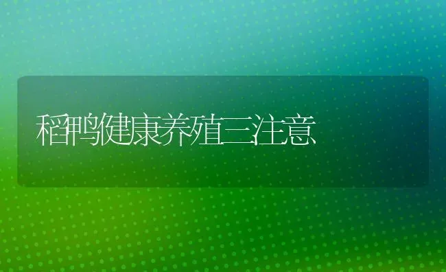 稻鸭健康养殖三注意 | 家禽养殖