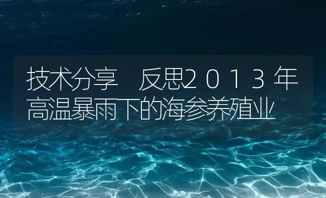 技术分享 反思2013年高温暴雨下的海参养殖业 | 海水养殖