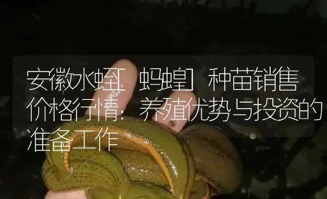 安徽水蛭[蚂蝗]种苗销售价格行情：养殖优势与投资的准备工作 | 特种养殖