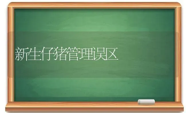 新生仔猪管理误区 | 家畜养殖