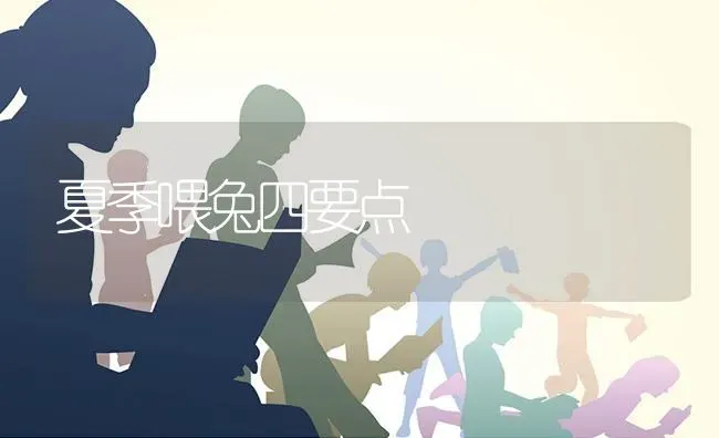 夏季喂兔四要点 | 家畜养殖