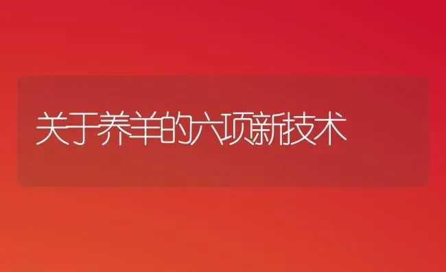 关于养羊的六项新技术 | 家畜养殖