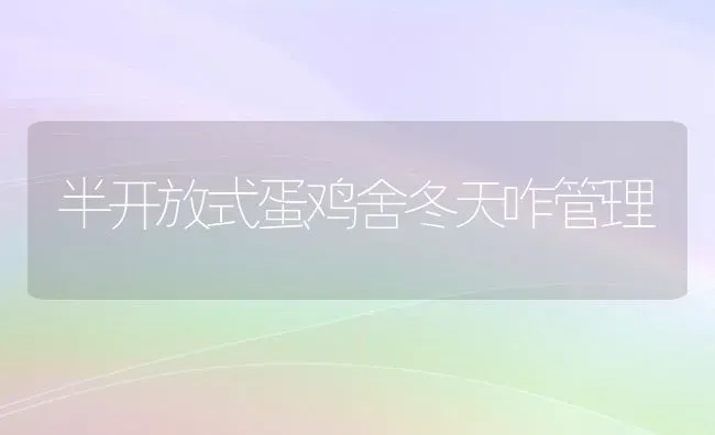 半开放式蛋鸡舍冬天咋管理 | 家禽养殖