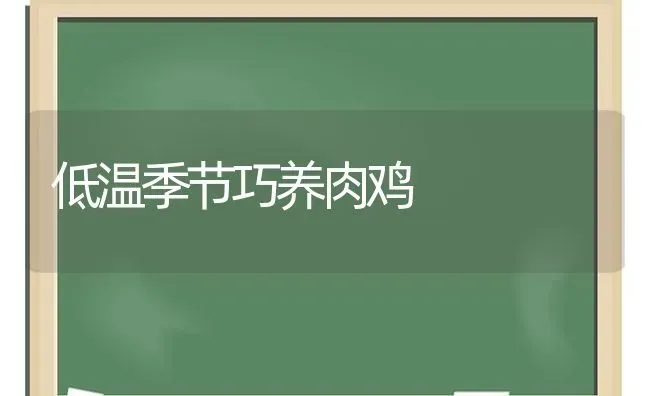 低温季节巧养肉鸡 | 家禽养殖