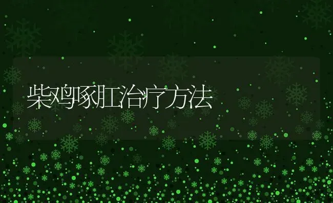 柴鸡啄肛治疗方法 | 家禽养殖