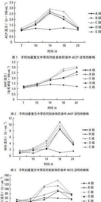 饲料中添加复方中草药对刺参免疫的影响